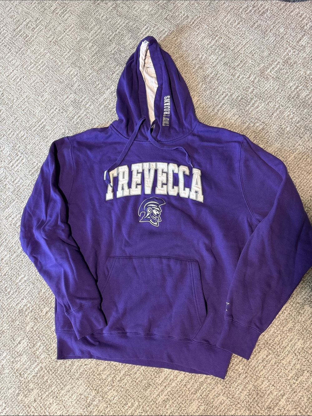 Colosseum Purple Crewneck Hoodie - Trevecca Trojans